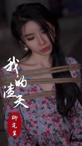 我的渣夫柳先生全集