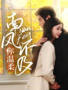 南风不及你温柔全集