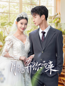 月亮奔你而来全集