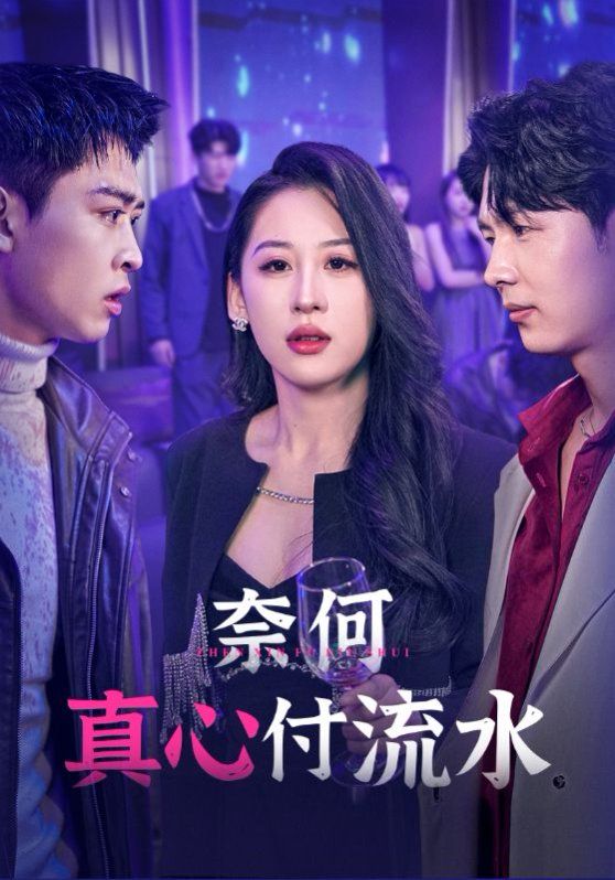 奈何真心付流水全集