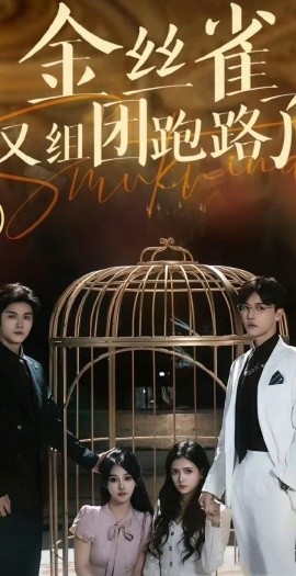 金丝雀又组团跑路了全集