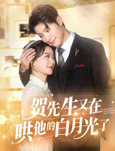 贺先生又在哄他的白月光了全集