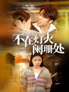 不在灯火阑珊处全集
