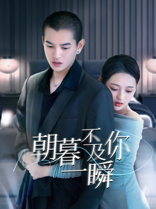 朝暮不及你一瞬全集