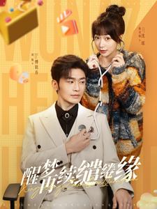 醒梦再续缱绻缘全集