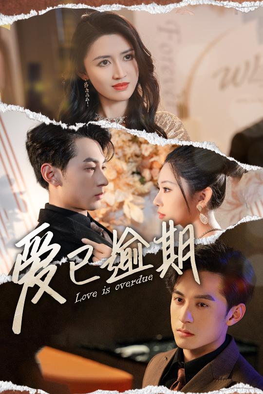 爱已逾期 从此山海不相逢全集