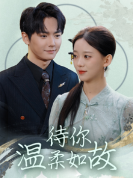 待你温柔如故全集