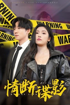 情断谍影 我的特工老婆全集