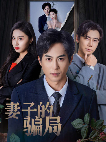 妻子的骗局全集