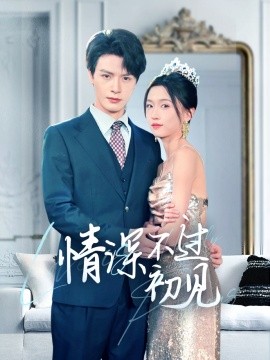 情深不过初见全集