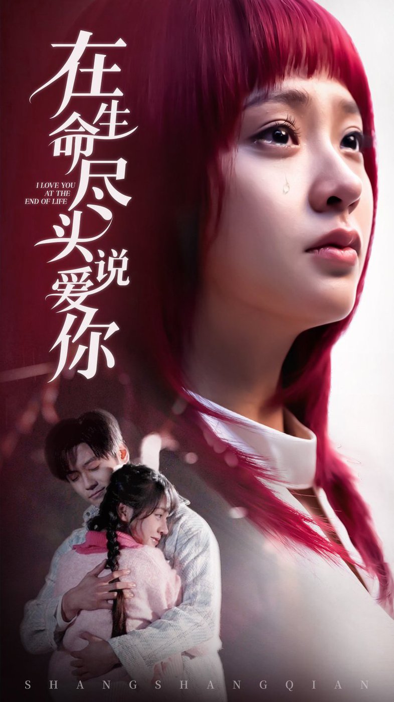 在生命尽头说爱你全集