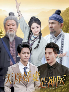 天降娇妻是神医全集