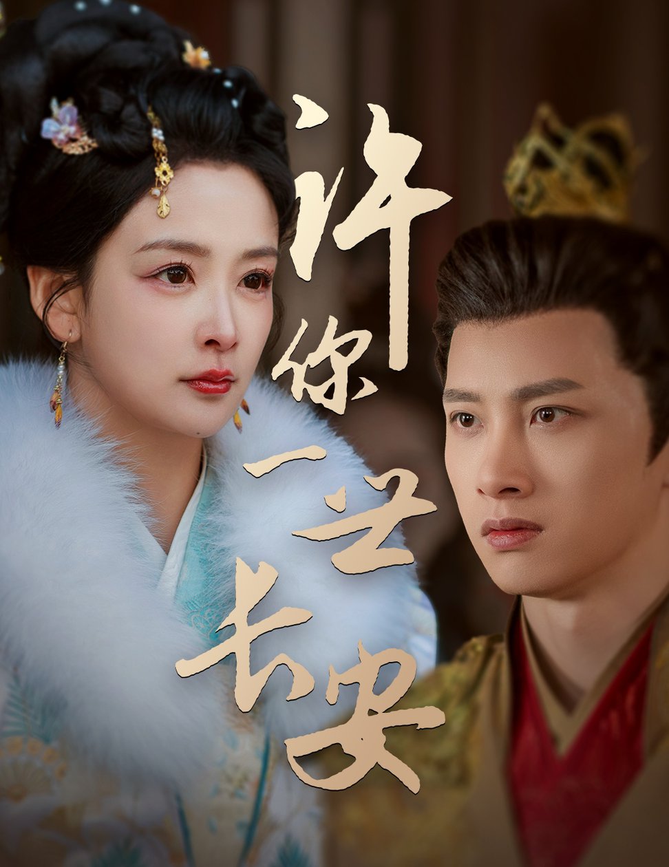 许你一世长安全集