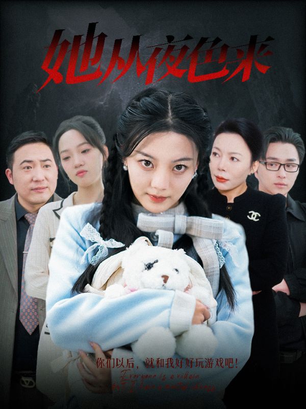 她从夜色来全集