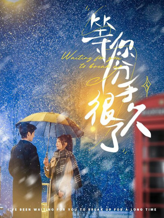 等你分手很久了全集