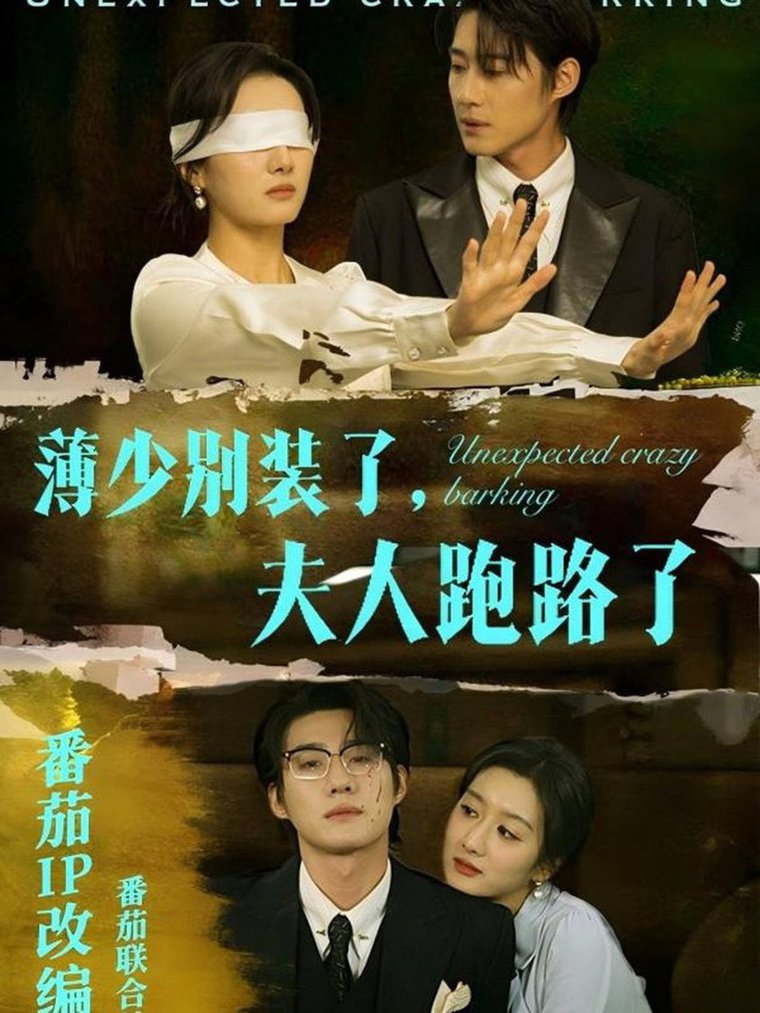 薄少别装了夫人跑路了全集