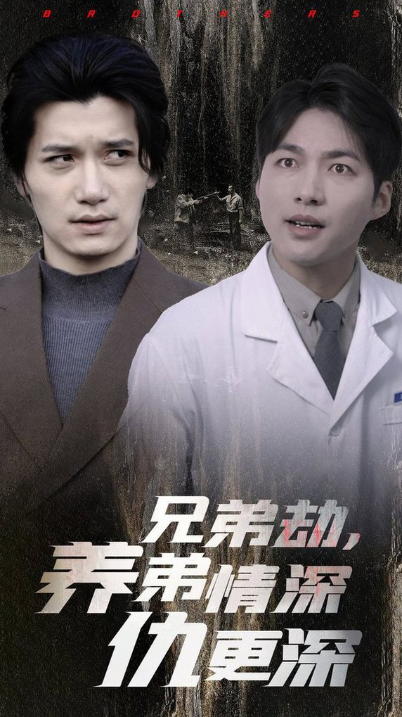 兄弟劫养弟情深仇更深全集