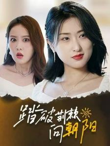 踏破荆棘向朝阳全集