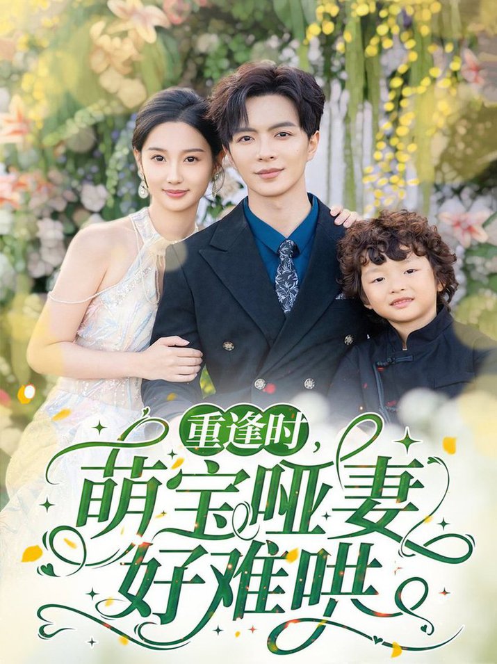 重逢时萌宝哑妻好难哄全集