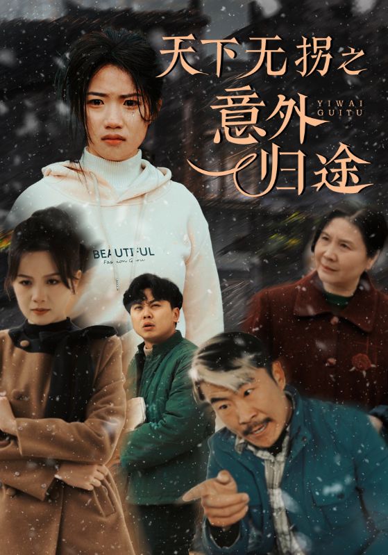 天下无拐之意外归途全集