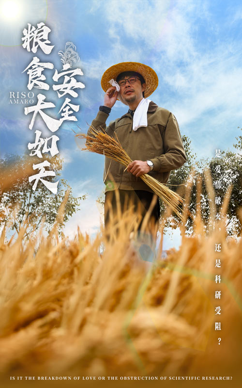 粮食安全大如天全集