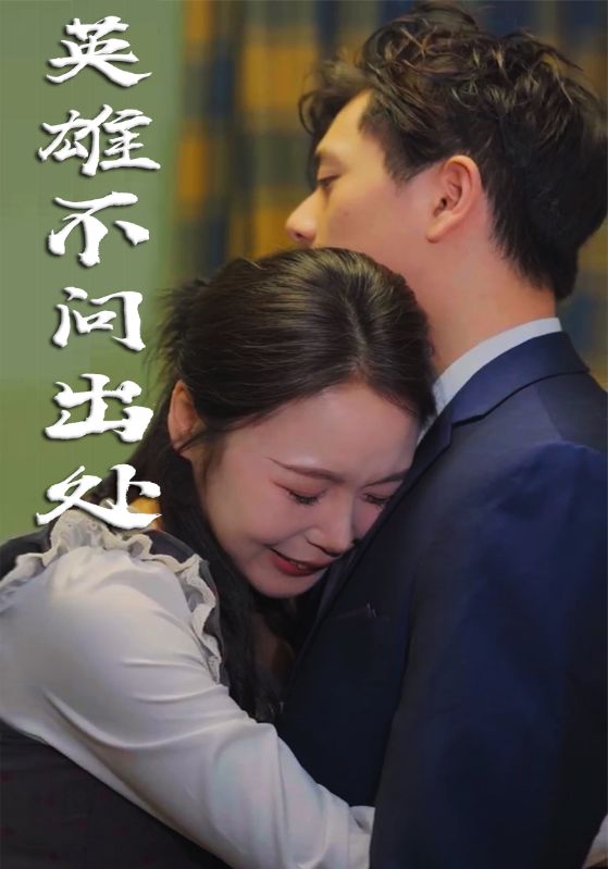 英雄不问出处全集