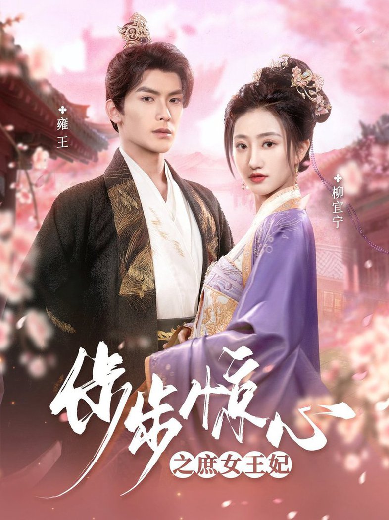 步步惊心之庶女王妃全集