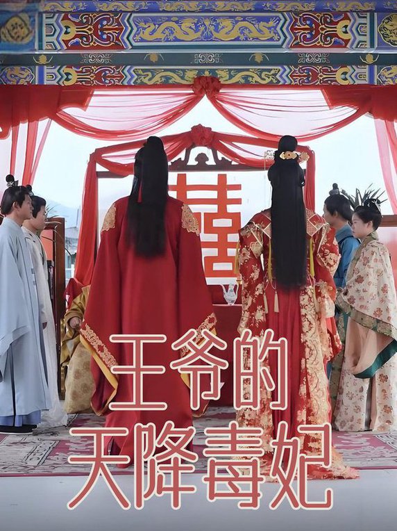 王爷的天降毒妃全集