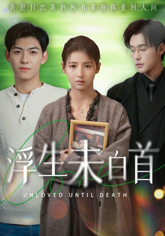 浮生未白首全集