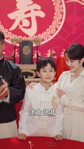 少年张北传全集