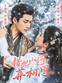 错把山河葬相思全集