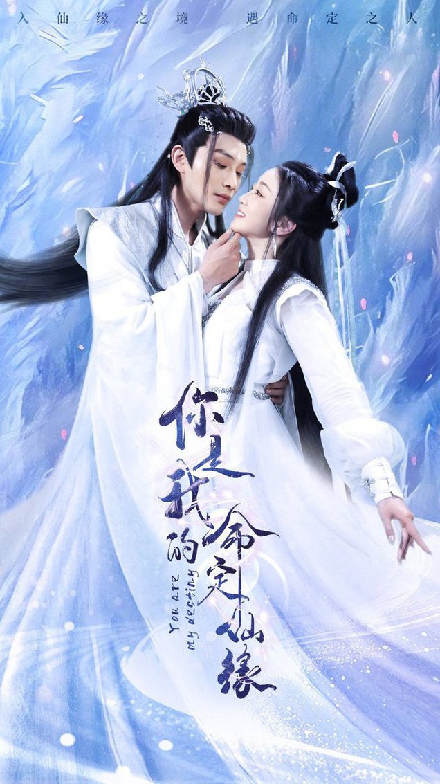 你是我的命定仙缘全集