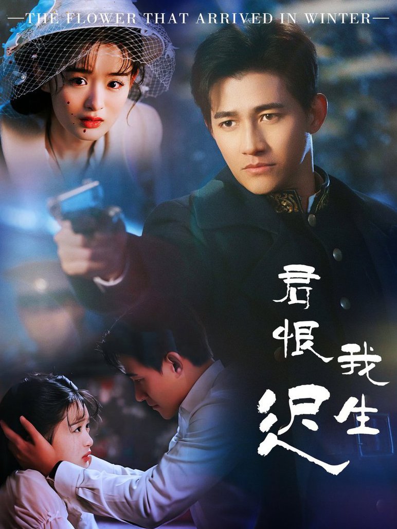 君恨我生迟 司令府就是我的家全集