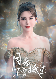 月光不曾抵达全集