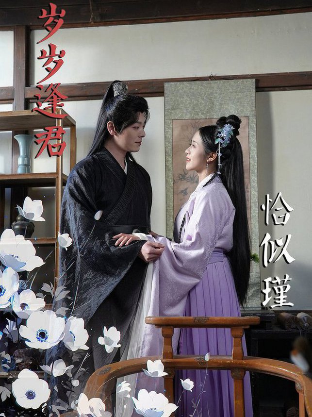 岁岁逢君恰似瑾全集