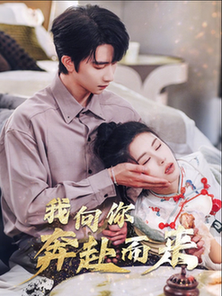 我向你奔赴而来全集