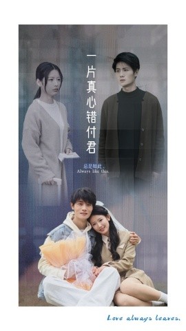 一片真心错付君全集