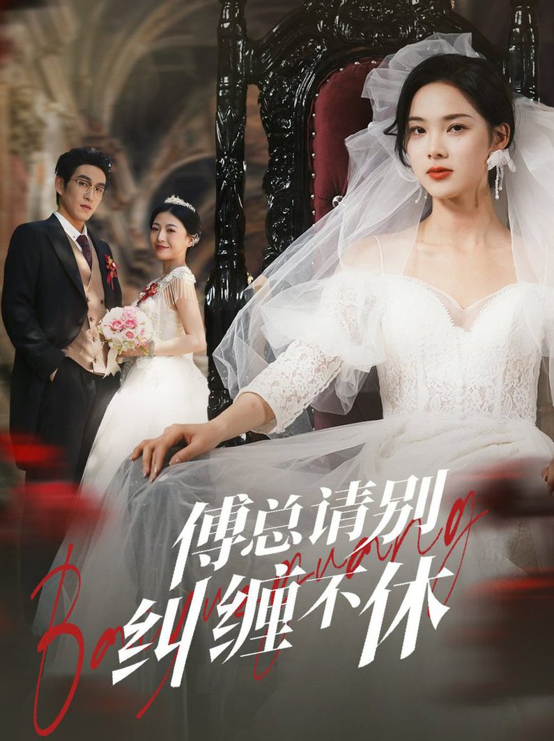 傅总请别纠缠不休全集