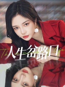 人生岔路口全集