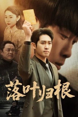 落叶归根 认祖归宗全集