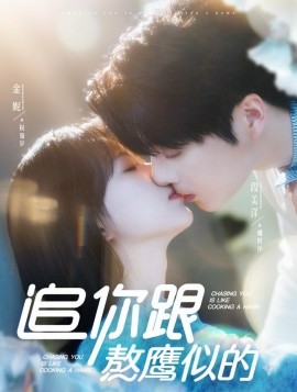 追你跟熬鹰似的全集