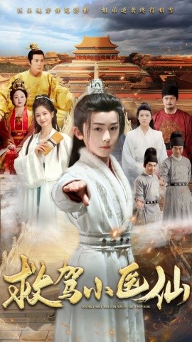 救驾小医仙全集