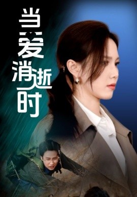 当爱消逝时全集