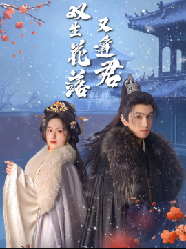 双生花落又逢君全集