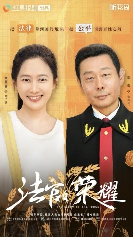 法官的荣耀全集