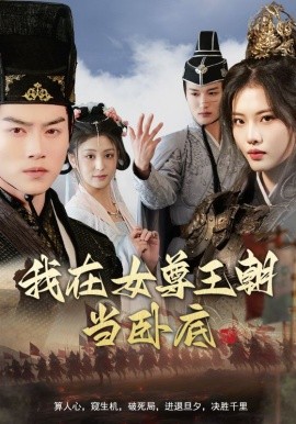 我在女尊王朝当卧底全集