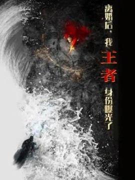 离婚后，我王者身份曝光了全集