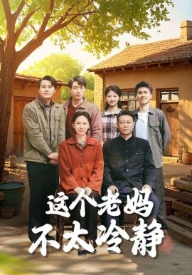 这个老妈不太冷静全集
