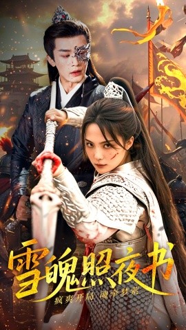 雪魄照夜书全集