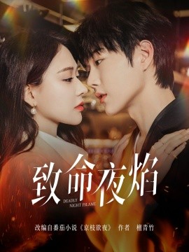 致命夜焰全集
